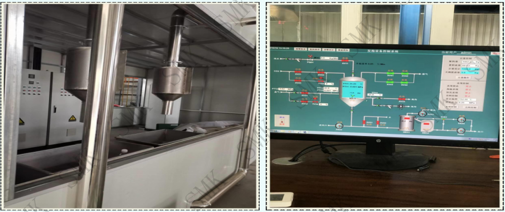 Display of density measurement and primary foaming control system
